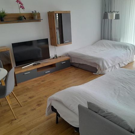 Coresi, 2 Camere, Sleeps 6 Large Private Garden Apartment Pets Welcome Brasov Exterior photo